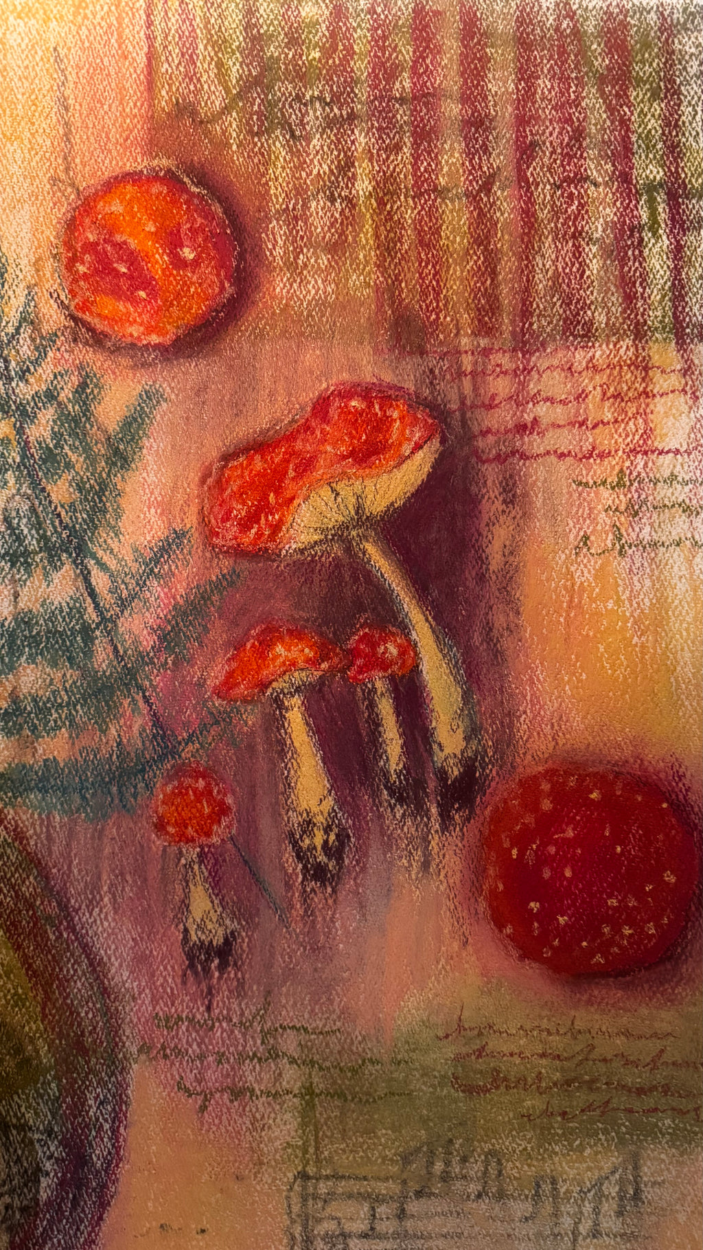 Field Notes: A Study in Nearness